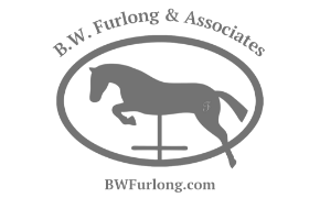 B.W. Furlong & Associates